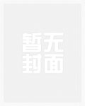 林霄秦淑婷为主角的小说